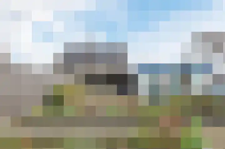 Kwikstaart 6 Siddeburen thumbnail 33