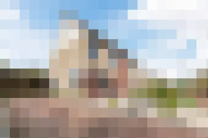 Kwikstaart 6 Siddeburen thumbnail 4