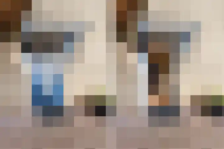 Kwikstaart 6 Siddeburen thumbnail 6