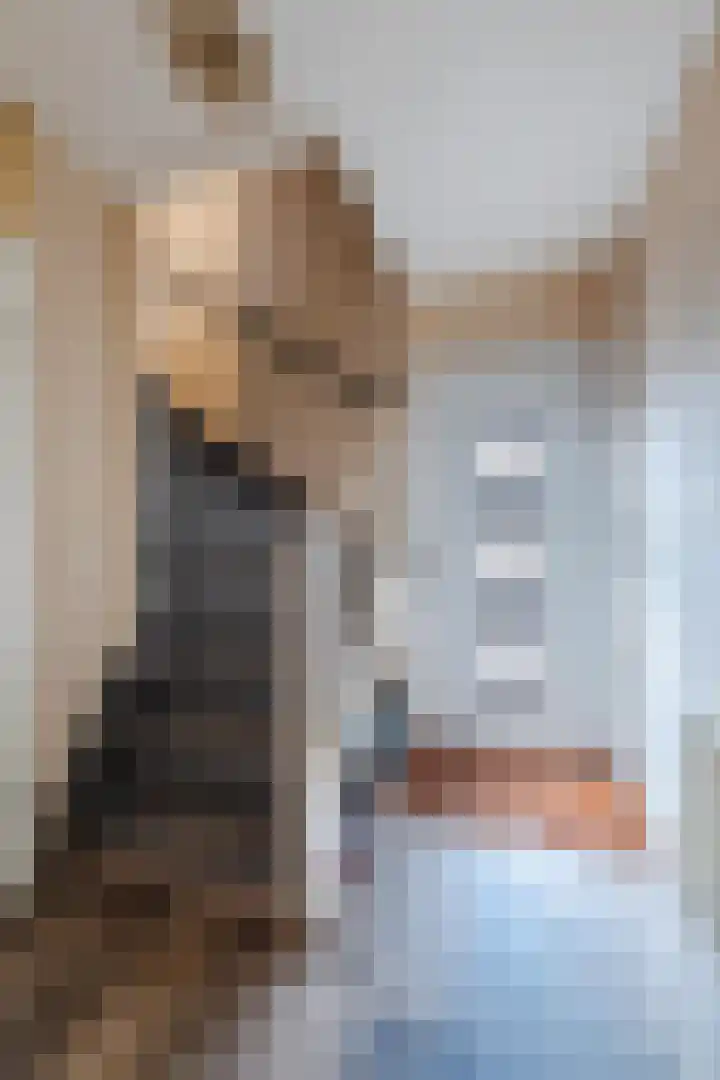 Kwikstaart 6 Siddeburen thumbnail 7