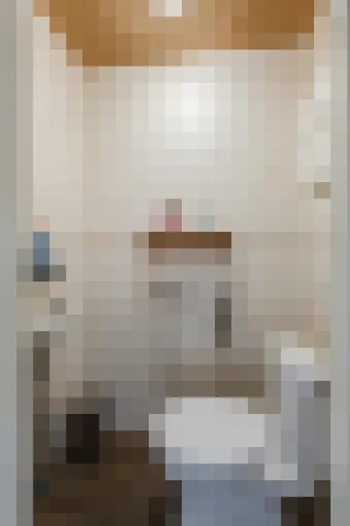 Kwikstaart 6 Siddeburen thumbnail 8