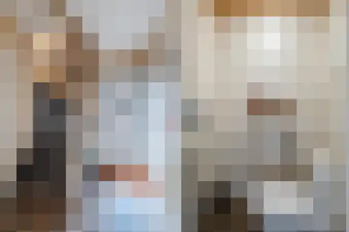 Kwikstaart 6 Siddeburen thumbnail 9