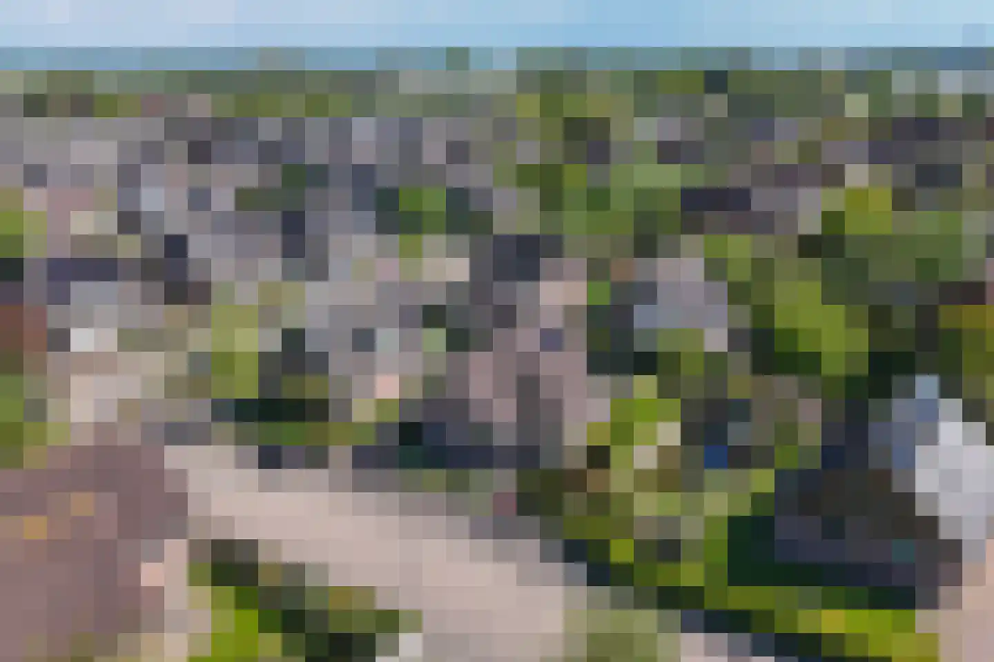 Kwikstaart 6 Venhuizen thumbnail 13
