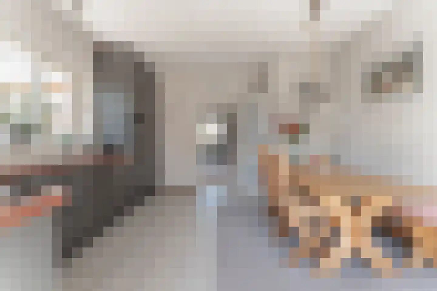 Kwikstaart 6 Venhuizen thumbnail 23