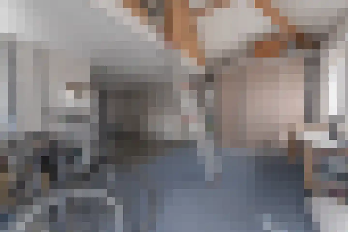 Kwikstaart 6 Venhuizen thumbnail 33