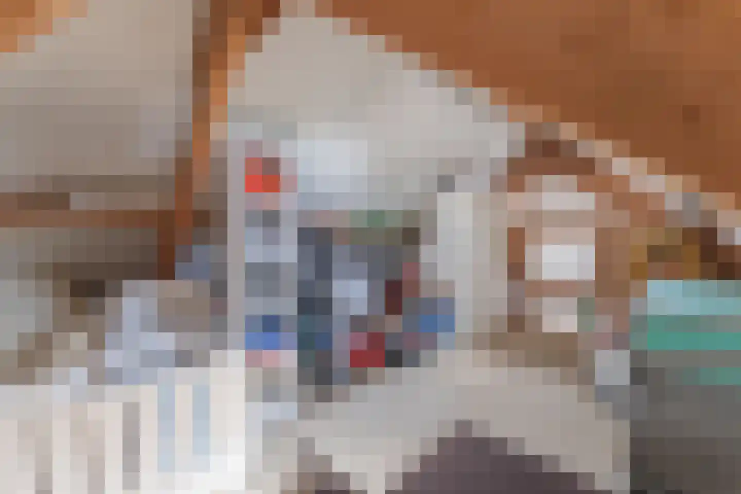 Kwikstaart 6 Venhuizen thumbnail 34