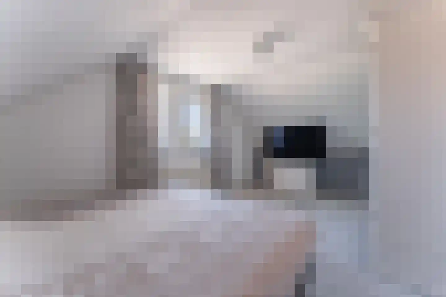 Kwikstaart 6 Venhuizen thumbnail 40