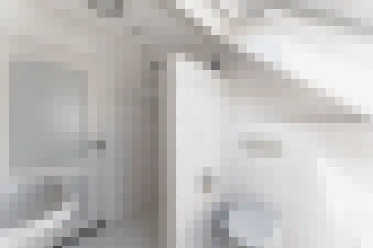 Kwikstaart 6 Venhuizen thumbnail 43