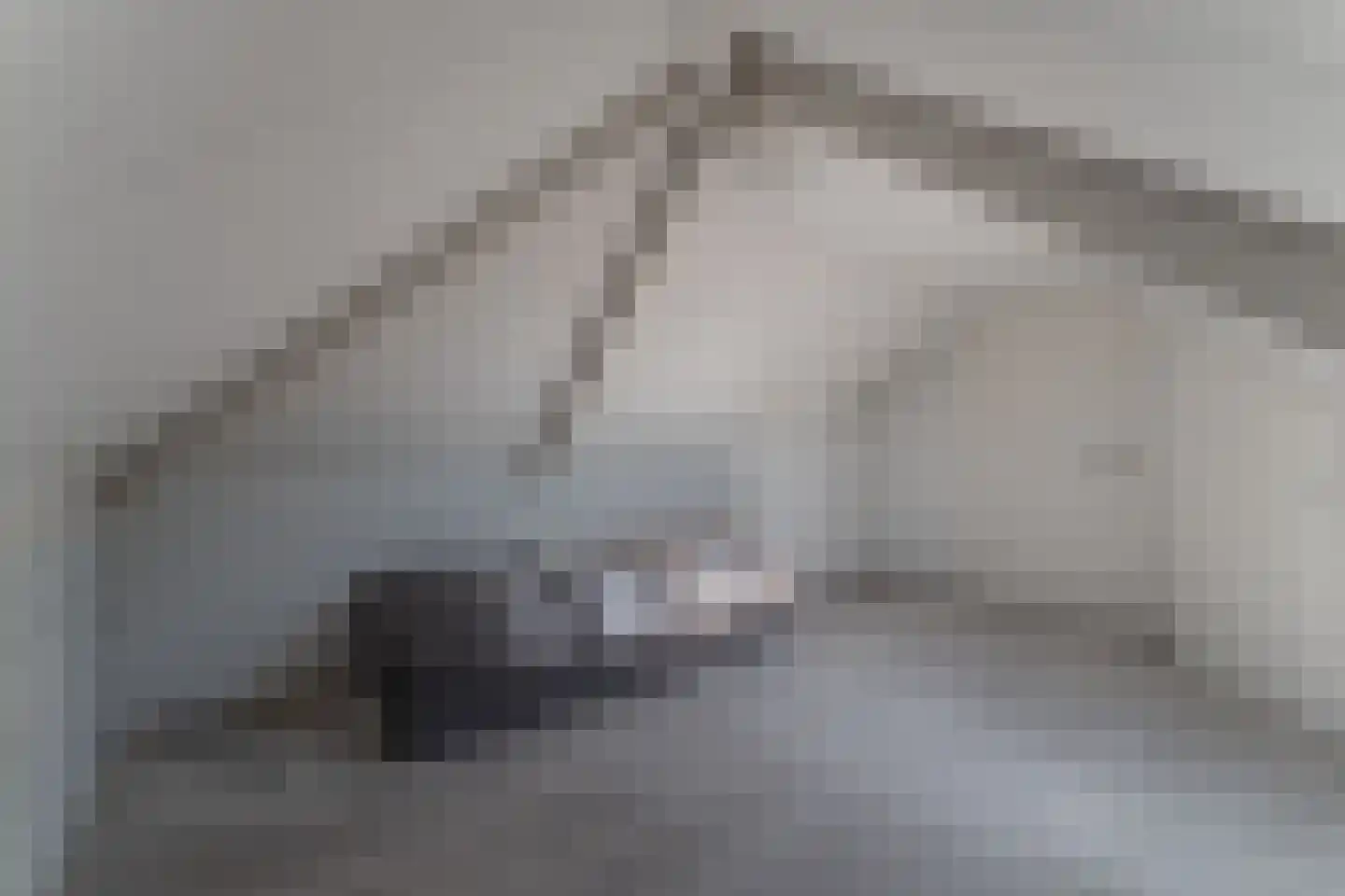 Kwikstaart 6 Venhuizen thumbnail 48