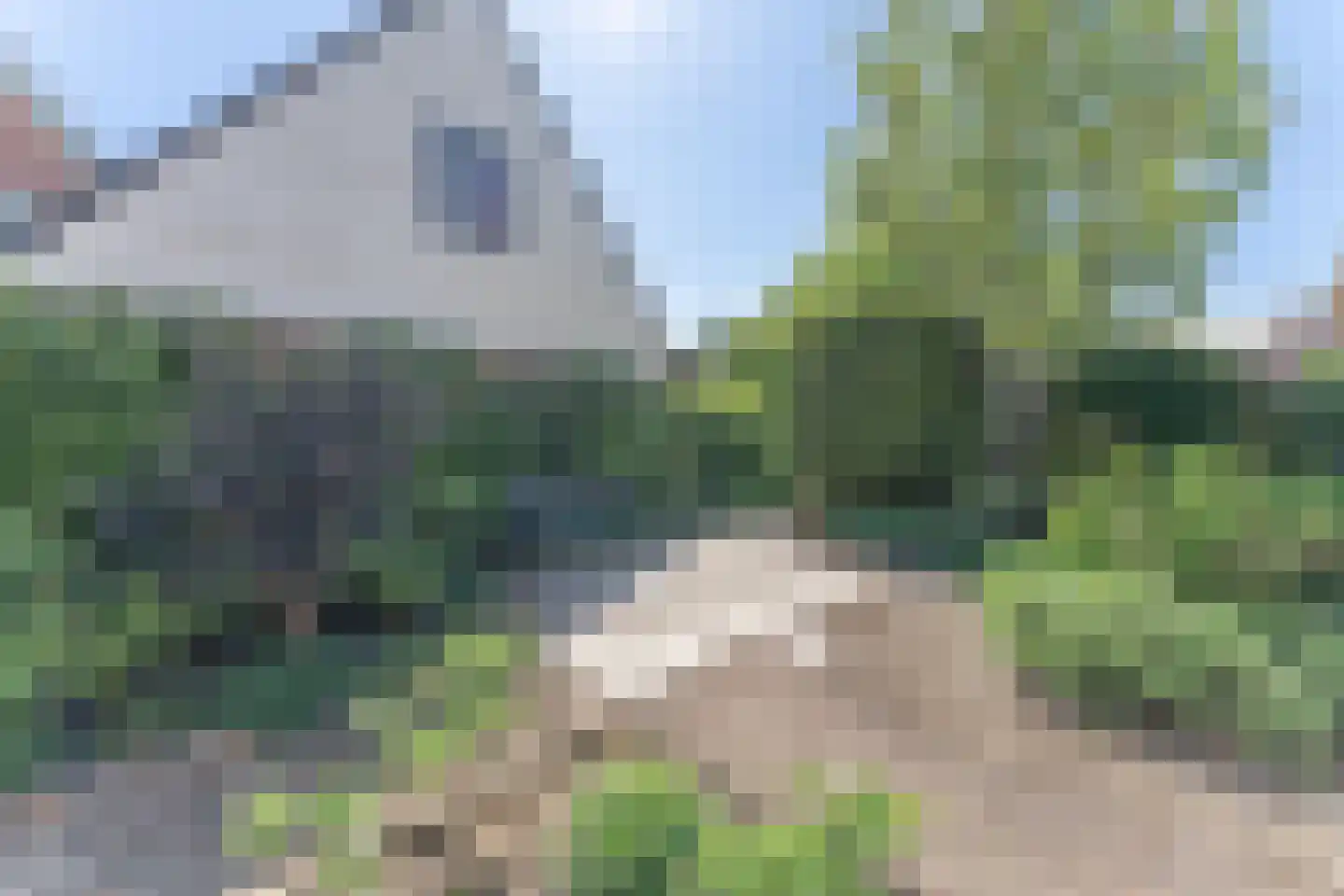 Kwikstaart 6 Venhuizen thumbnail 52