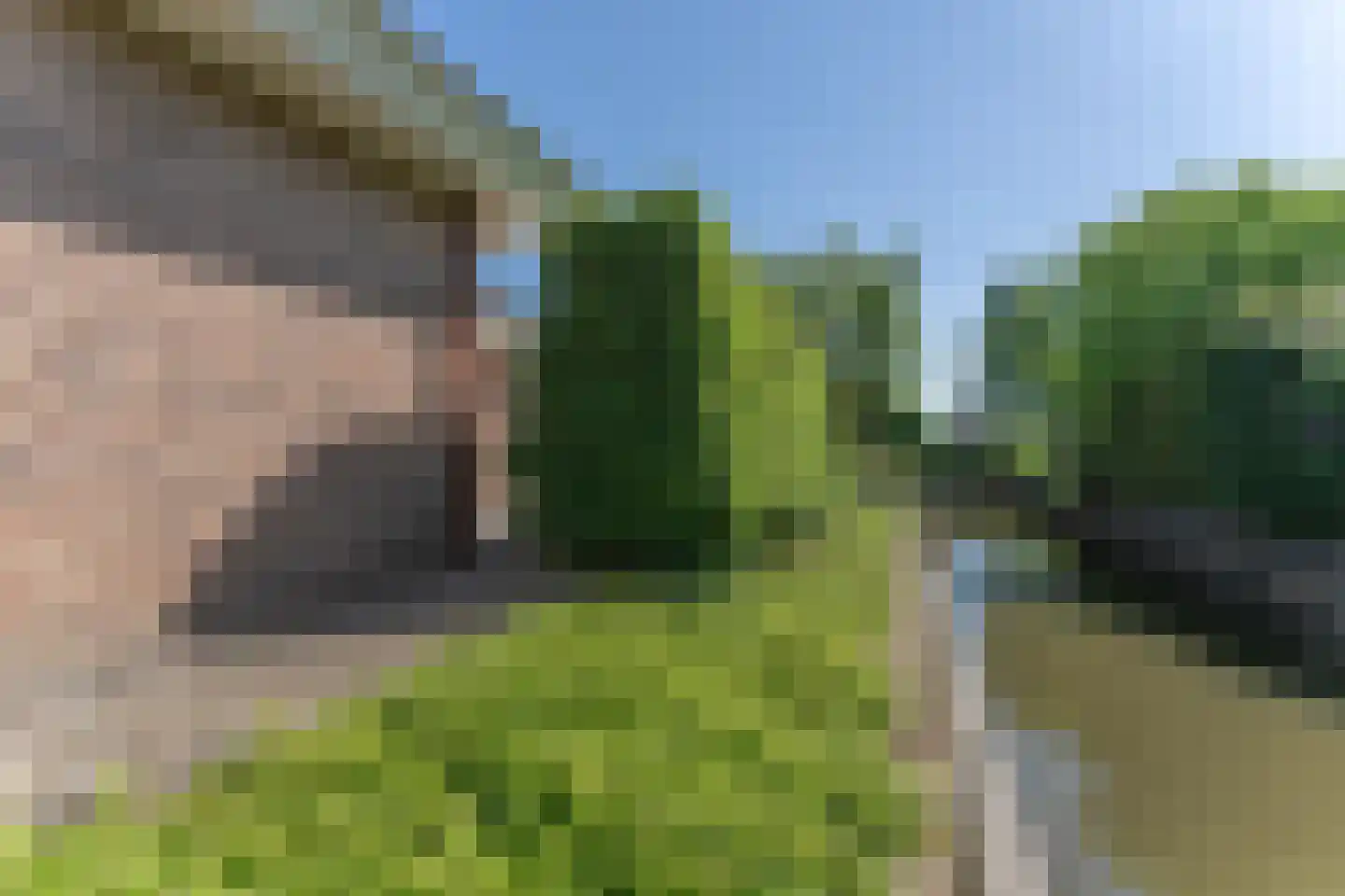 Kwikstaart 6 Venhuizen thumbnail 53