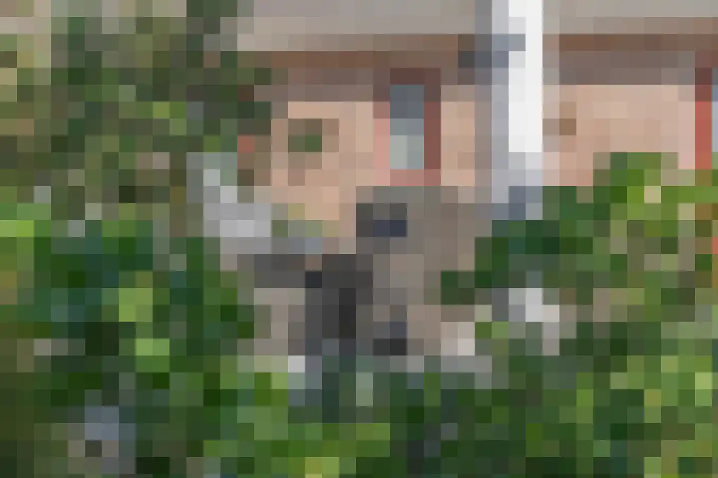 Kwikstaart 6 Venhuizen thumbnail 54