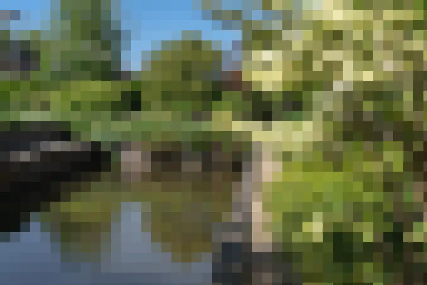 Kwikstaart 6 Venhuizen thumbnail 55