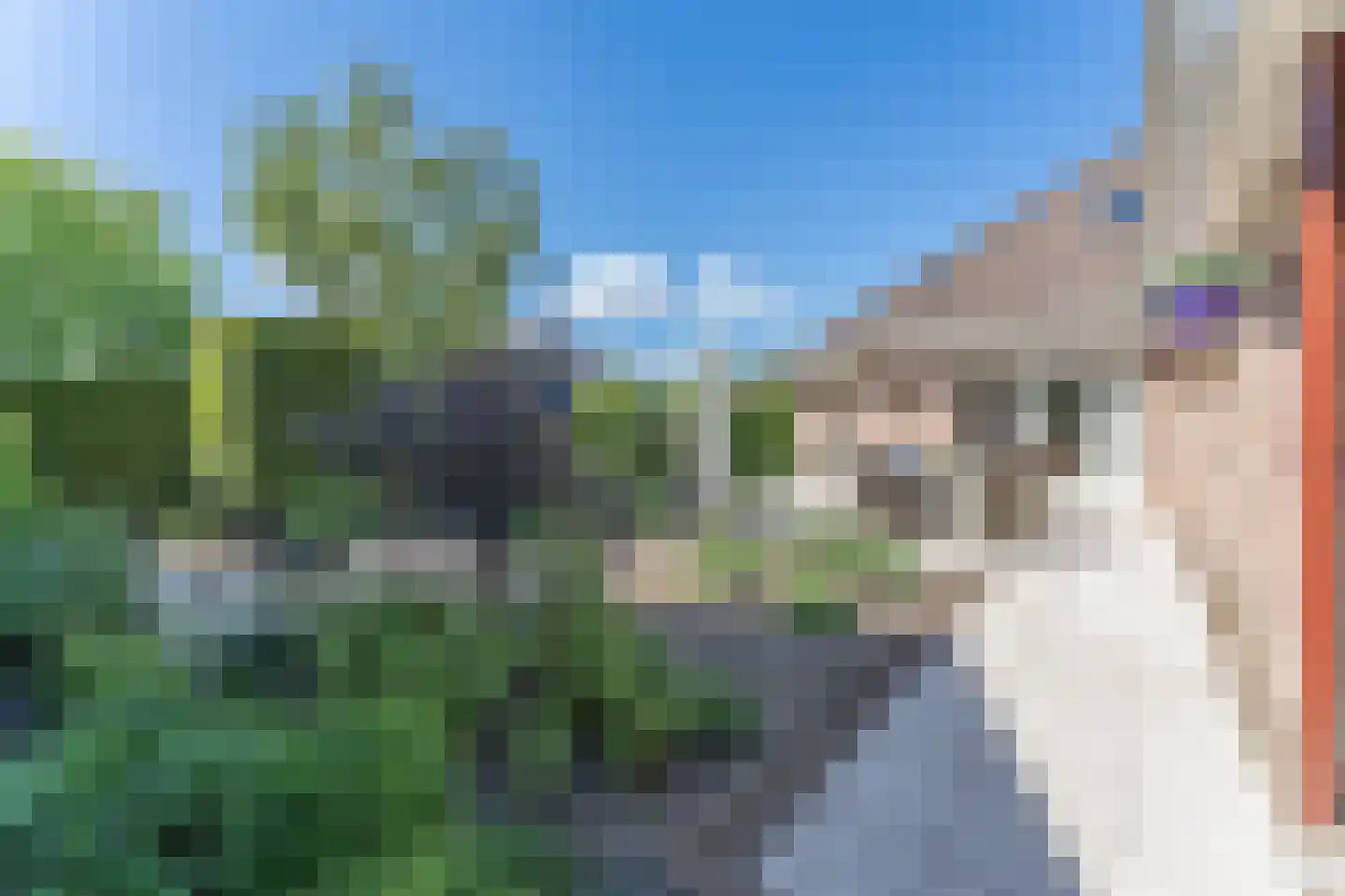 Kwikstaart 6 Venhuizen thumbnail 6