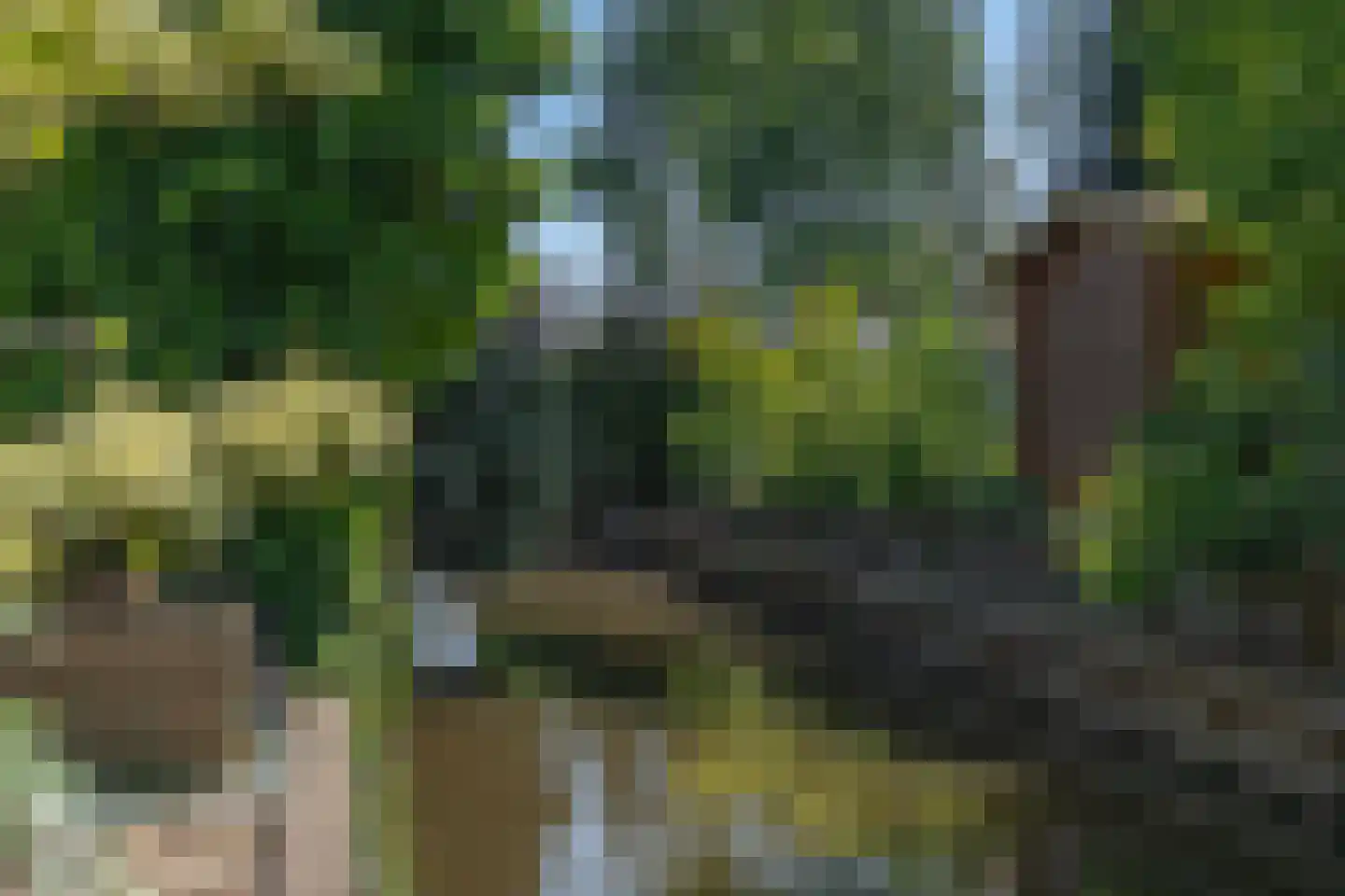 Kwikstaart 6 Venhuizen thumbnail 61