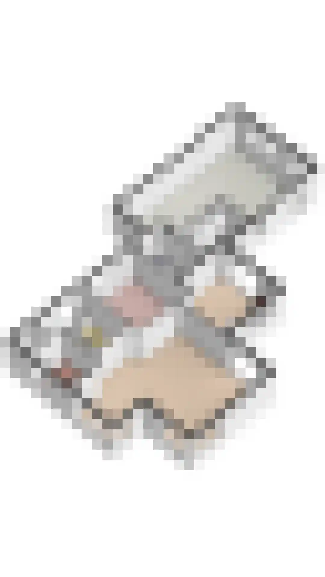 Kwikstaart 6 Venhuizen thumbnail 69
