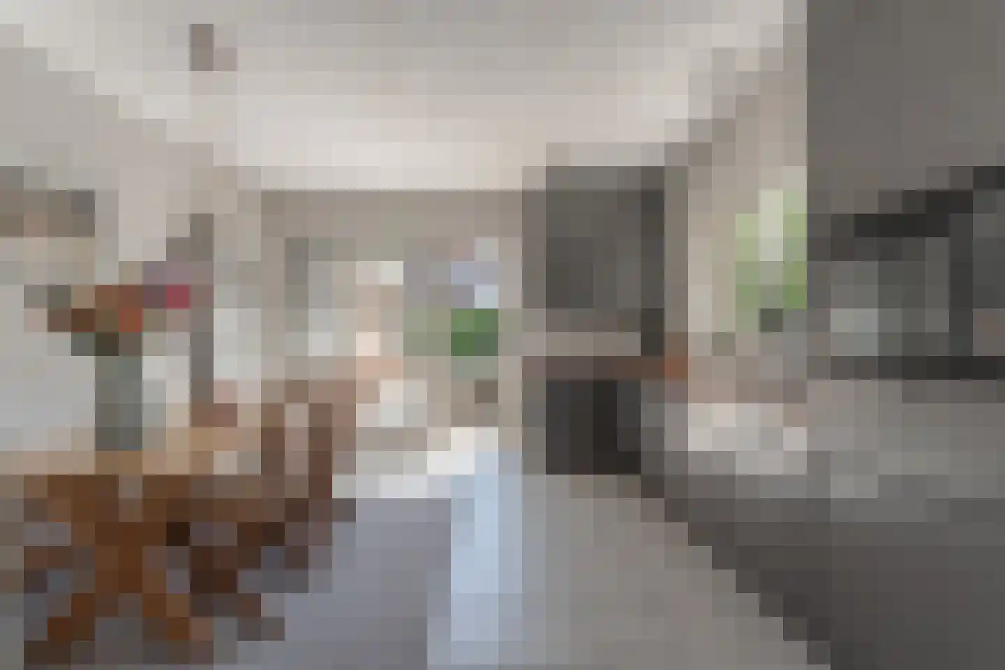 Kwikstaart 6 Venhuizen thumbnail 8