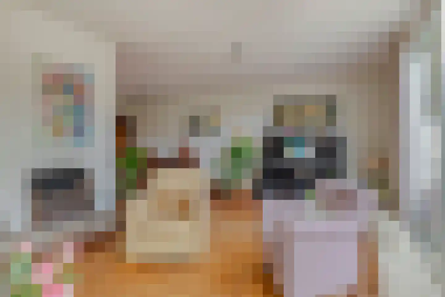 Kwikstaarthoek 27 Leiden thumbnail 17