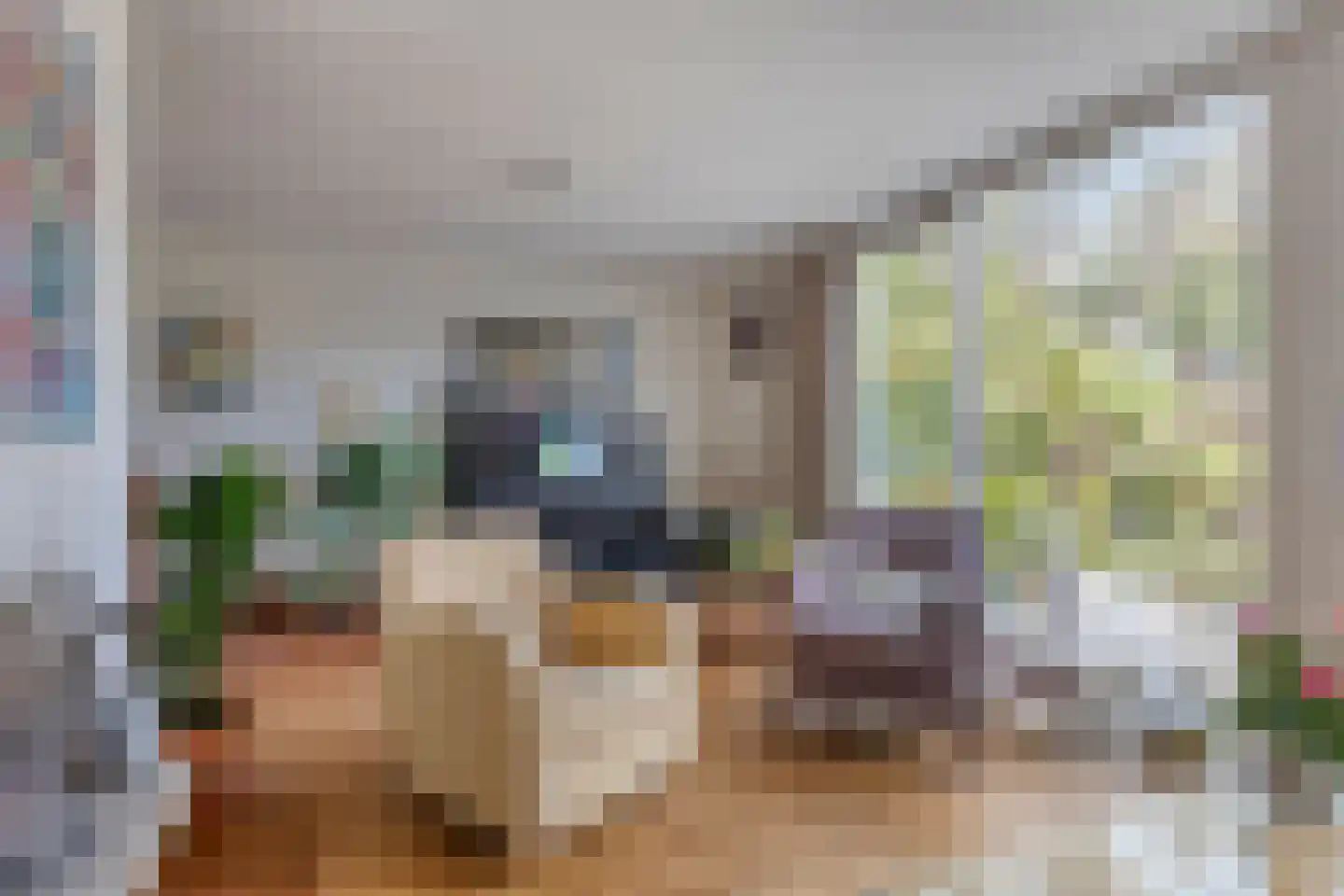 Kwikstaarthoek 27 Leiden thumbnail 19