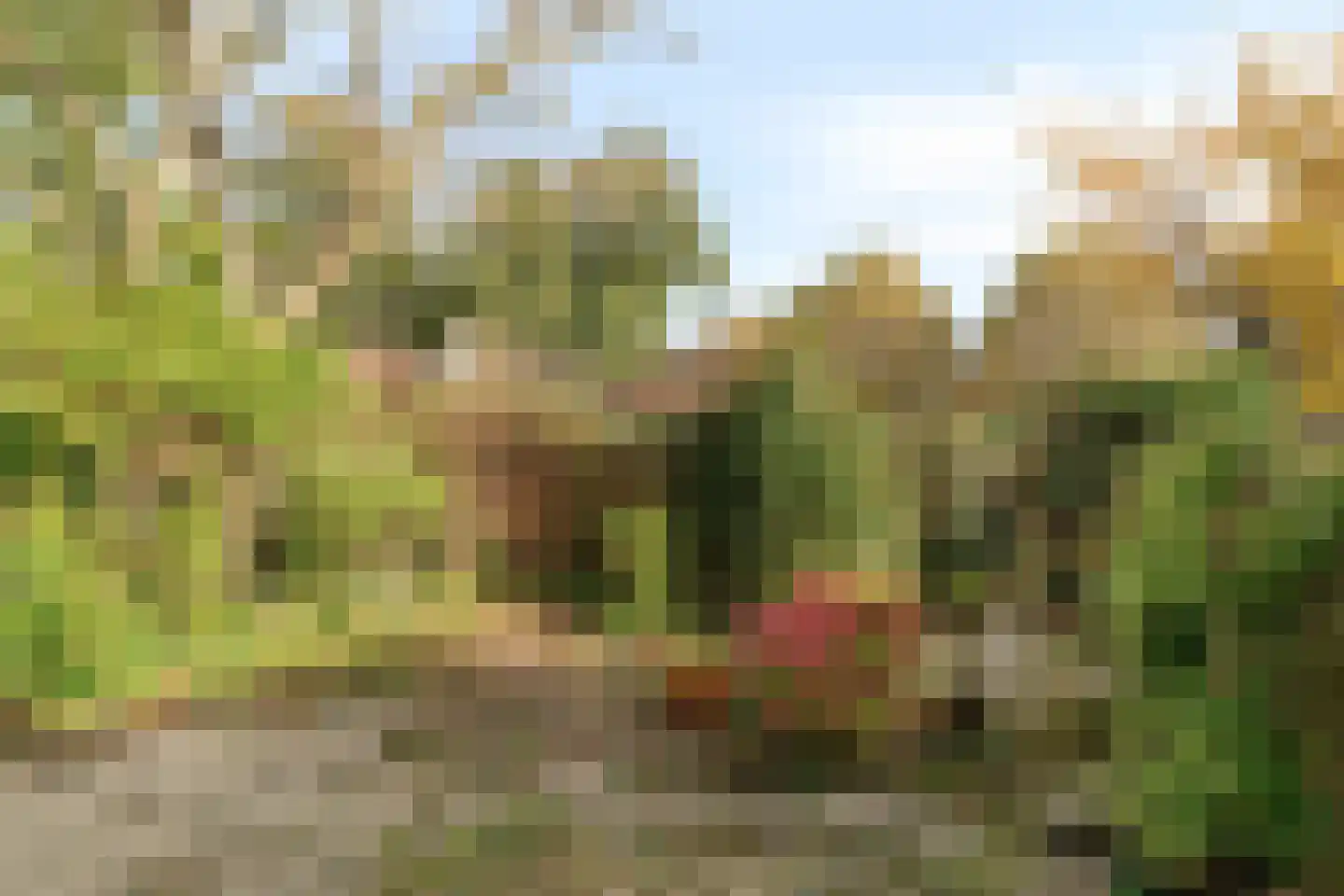 Kwikstaarthoek 27 Leiden thumbnail 33