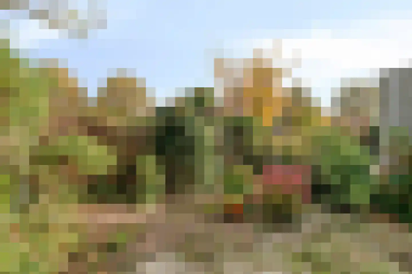 Kwikstaarthoek 27 Leiden thumbnail 34