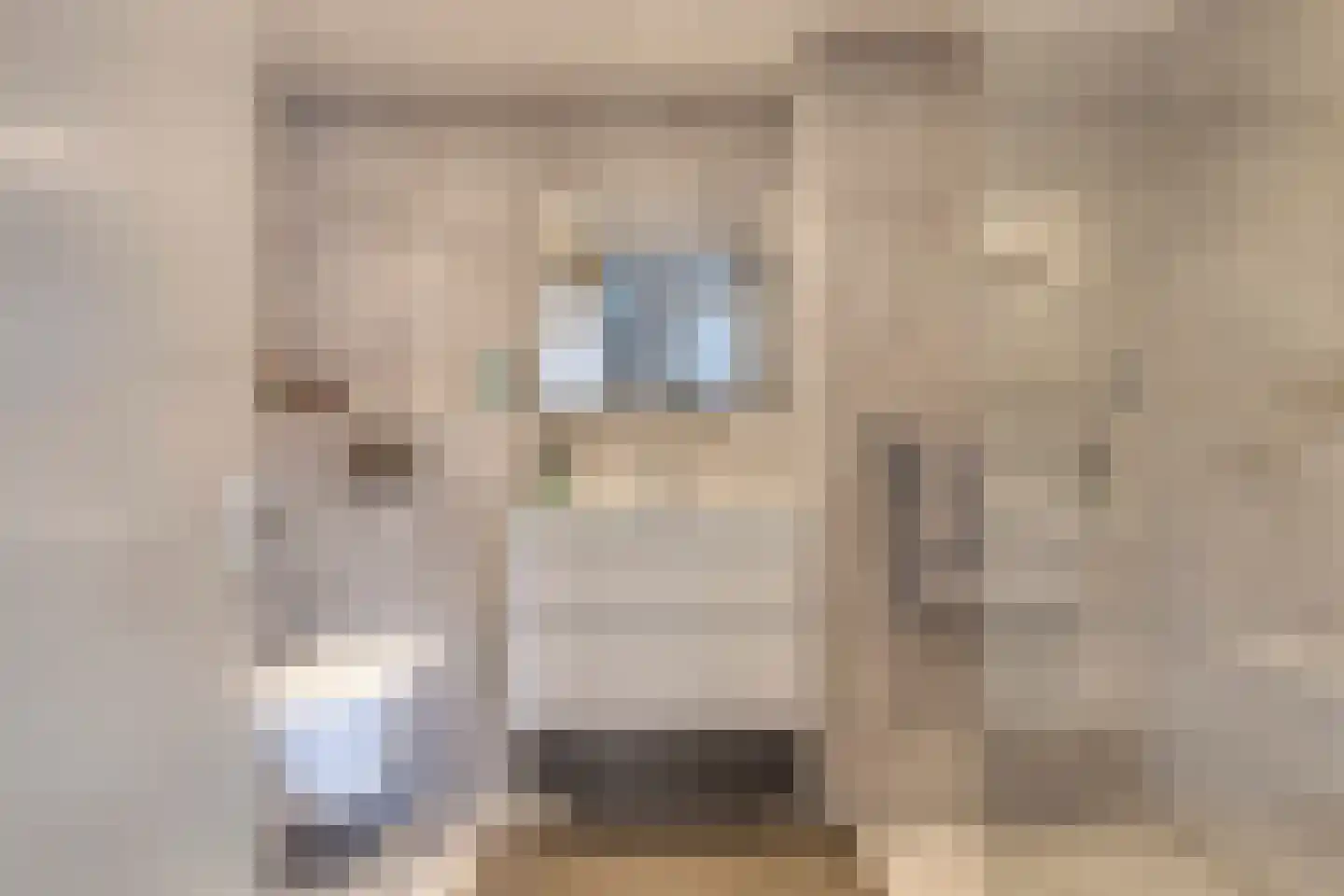 Kwikstaarthoek 27 Leiden thumbnail 4