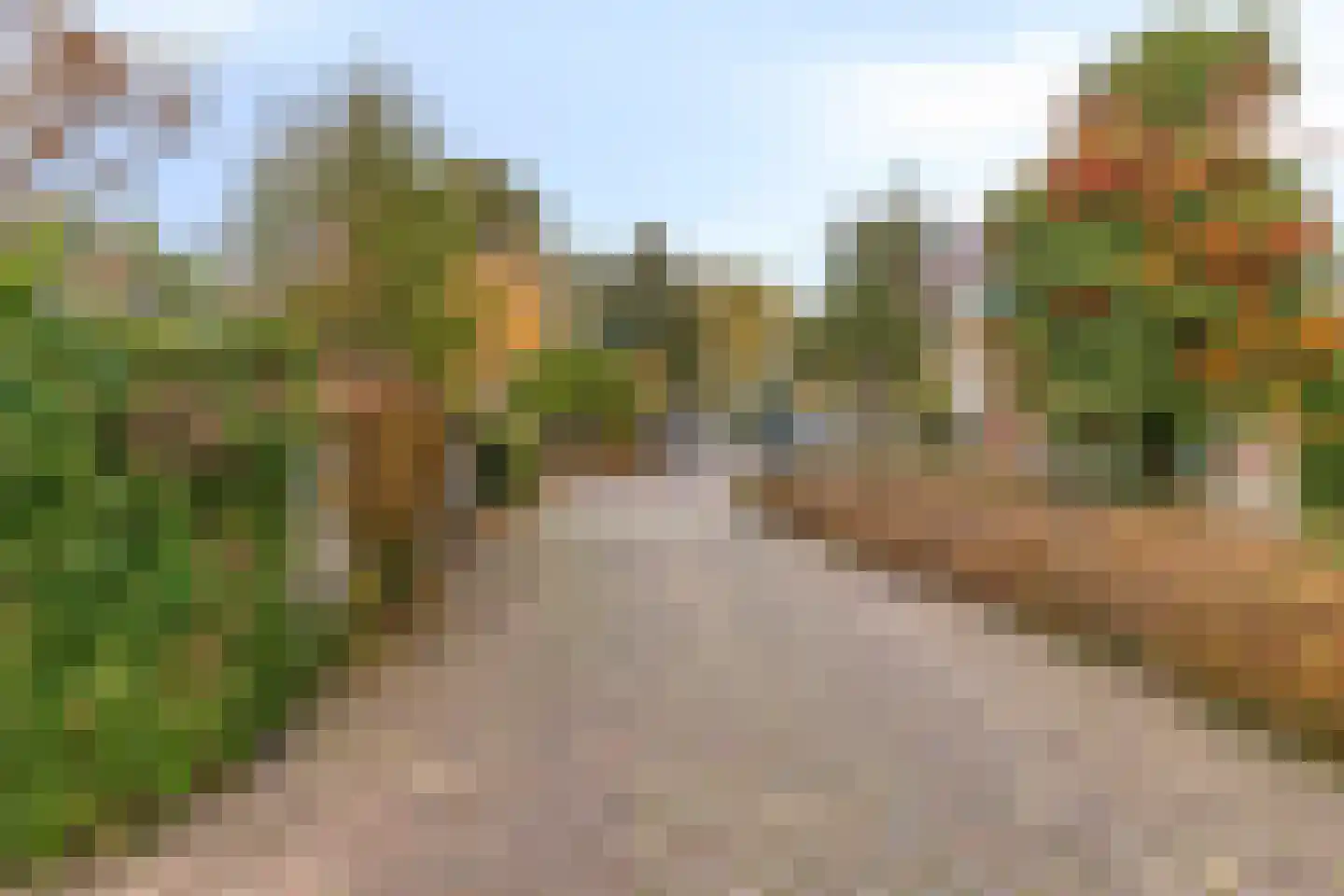 Kwikstaarthoek 27 Leiden thumbnail 40