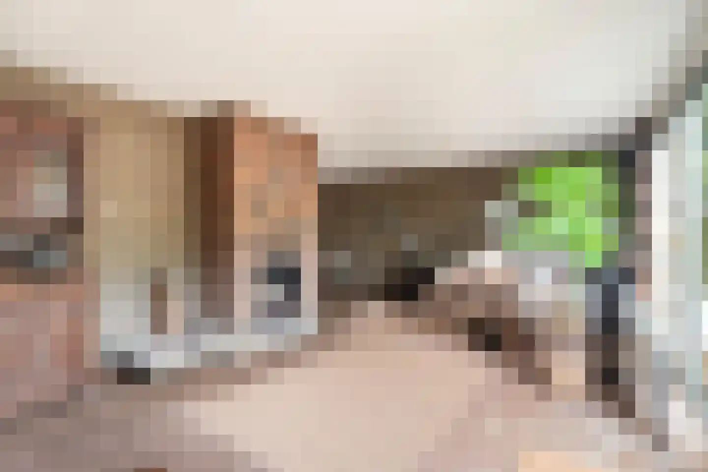 Kwikstaarthoek 31 Leiden thumbnail 15
