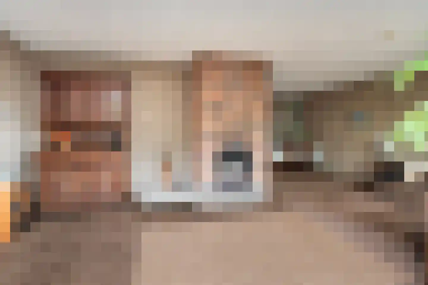 Kwikstaarthoek 31 Leiden thumbnail 17