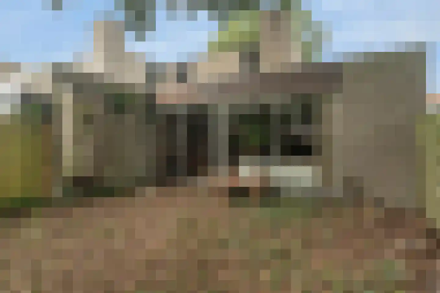 Kwikstaarthoek 31 Leiden thumbnail 20