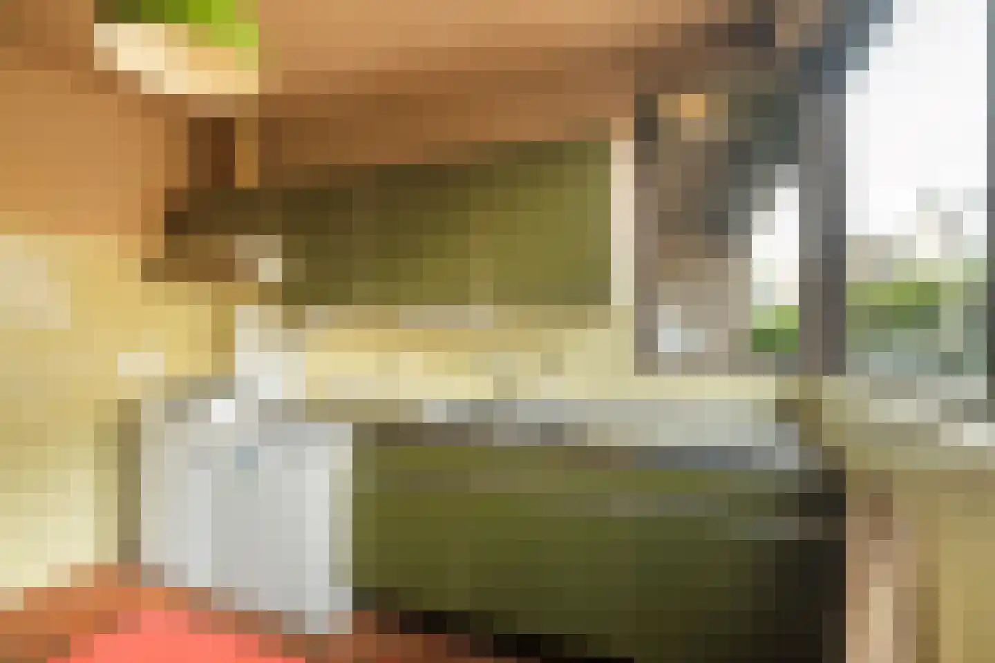 Kwikstaarthoek 31 Leiden thumbnail 23