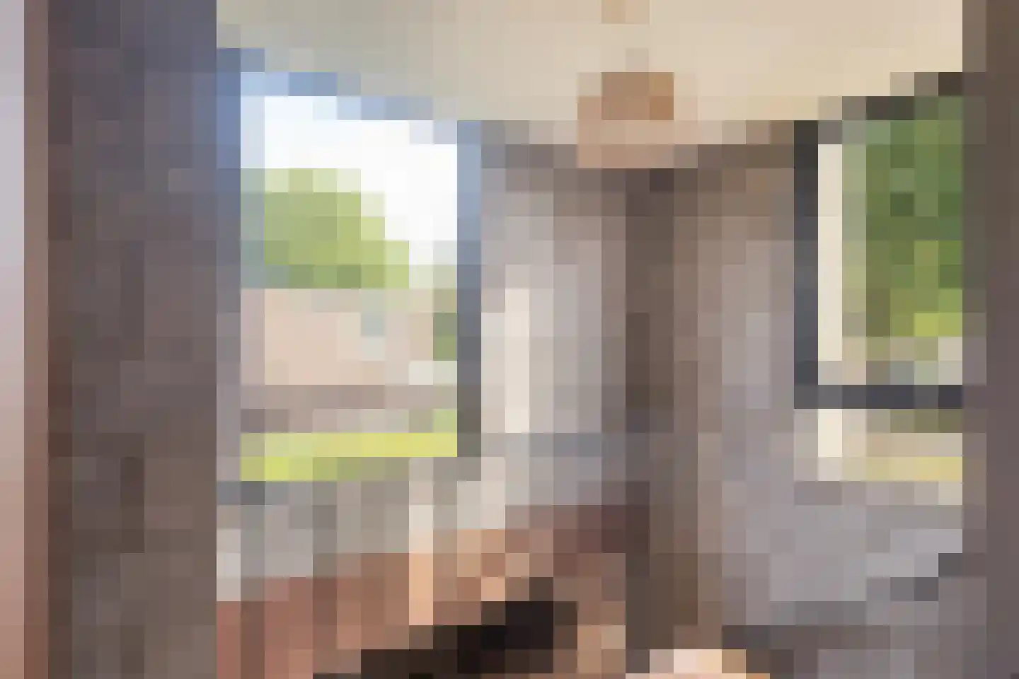 Kwikstaarthoek 31 Leiden thumbnail 24