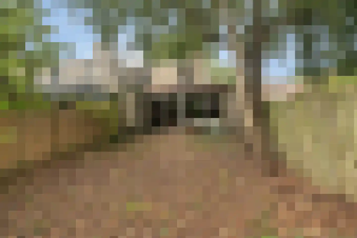 Kwikstaarthoek 31 Leiden thumbnail 4