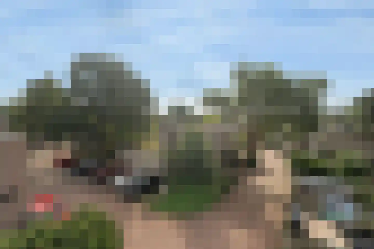 Kwikstaarthoek 31 Leiden thumbnail 5