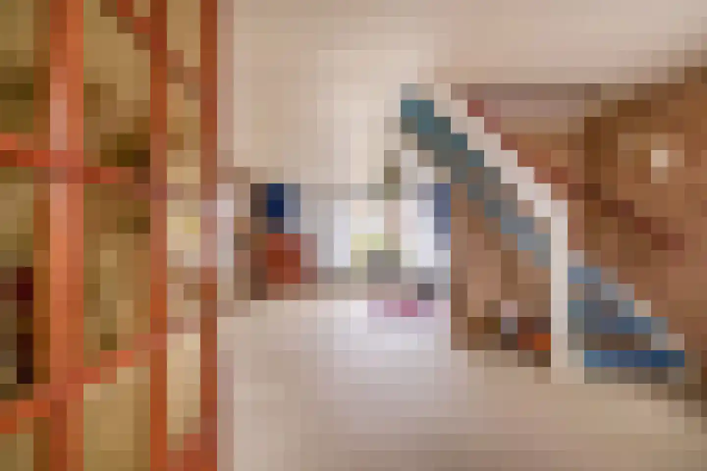 Kwikstaarthoek 34 Spijkenisse thumbnail 10