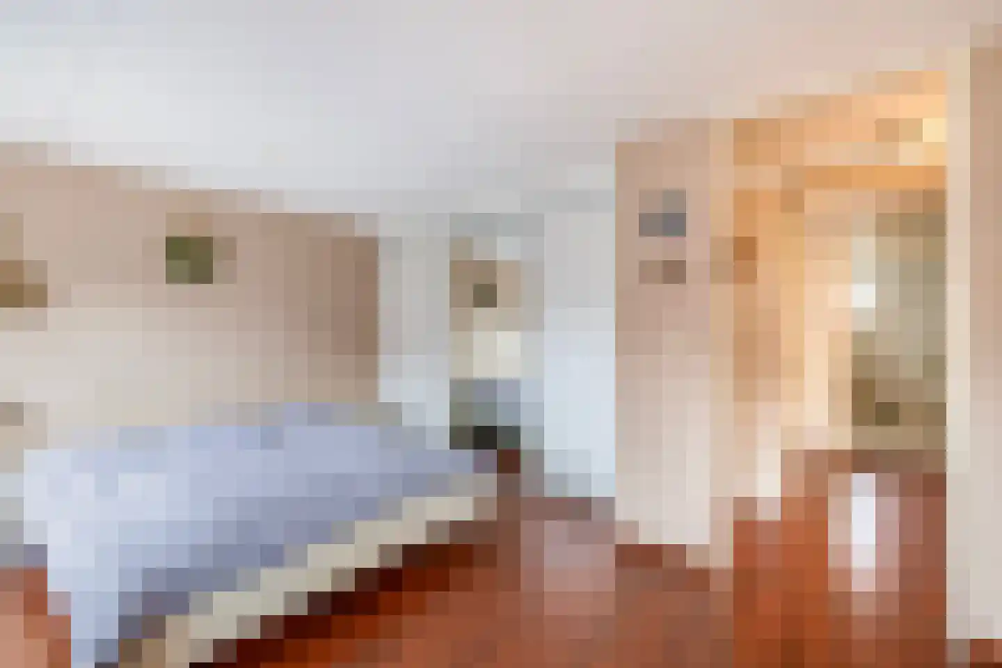 Kwikstaarthoek 34 Spijkenisse thumbnail 20