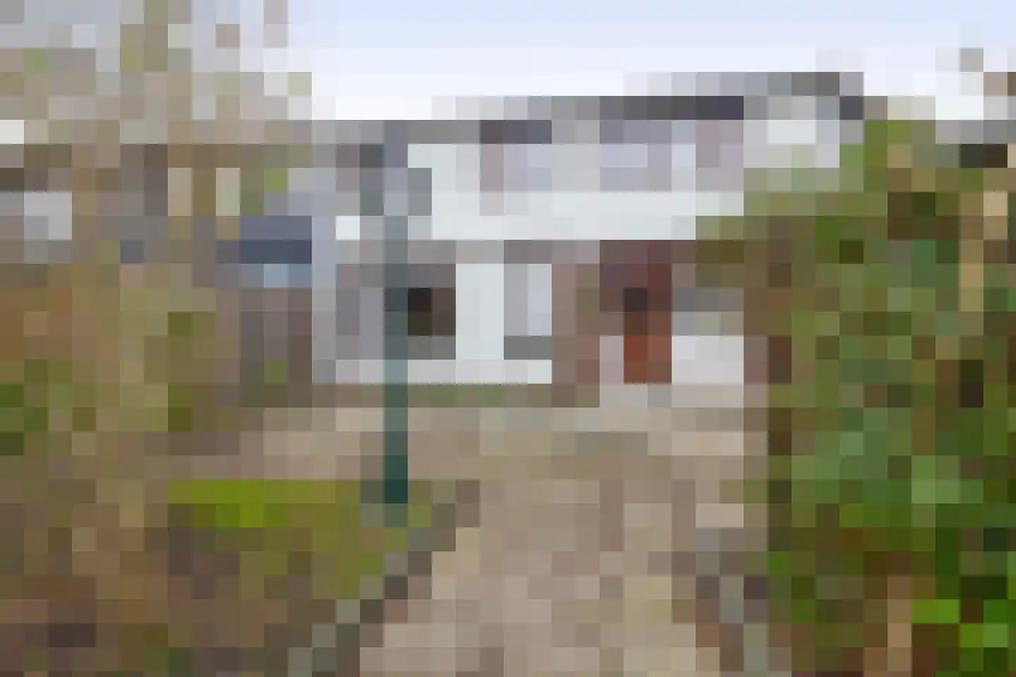 Kwikstaarthoek 34 Spijkenisse thumbnail 32