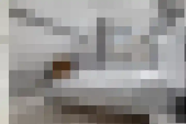 Kwikstaarthof 4 Stadskanaal thumbnail 13