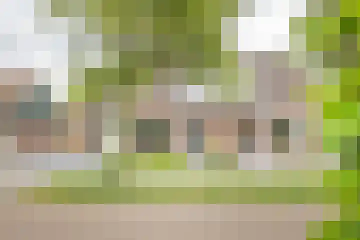 Kwikstaarthof 4 Stadskanaal foto 2