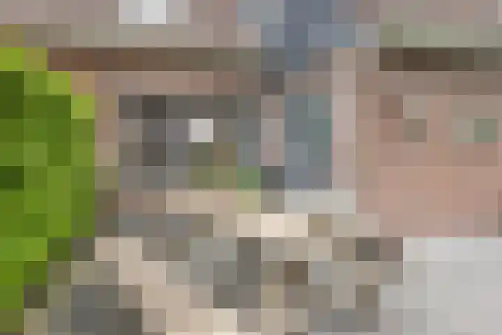 Kwikstaarthof 4 Stadskanaal thumbnail 22
