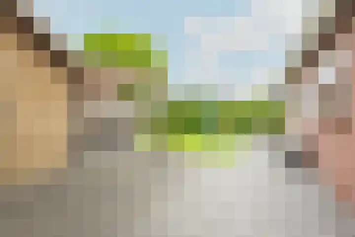 Kwikstaarthof 4 Stadskanaal thumbnail 23
