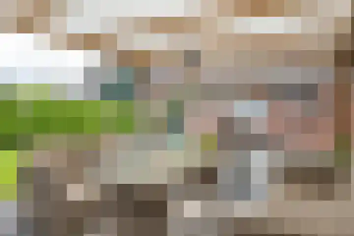 Kwikstaarthof 4 Stadskanaal thumbnail 24