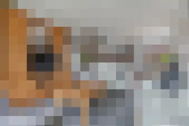 Kwikstaarthof 4 Stadskanaal thumbnail 6