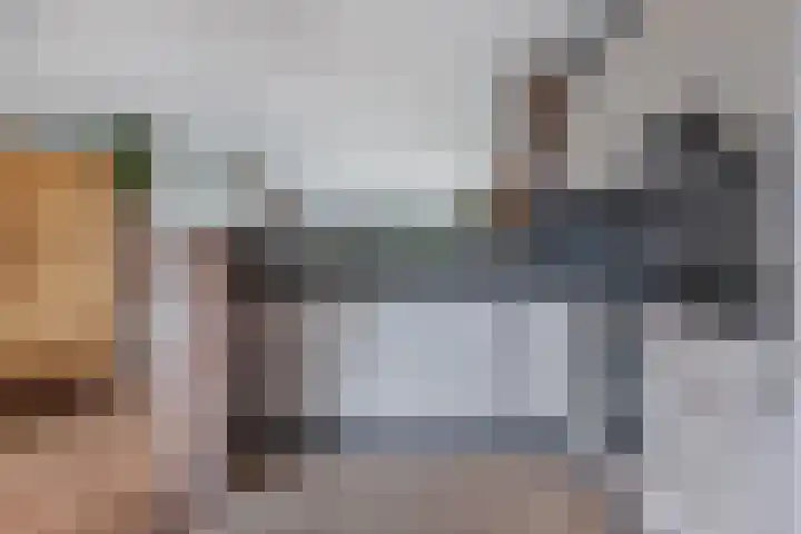 Kwikstaarthof 4 Stadskanaal thumbnail 7