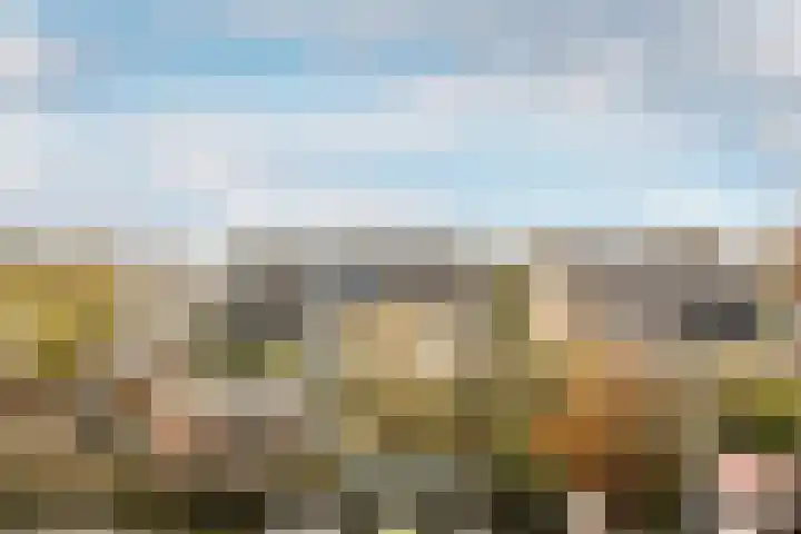 Kwikstaarthof 5 Moordrecht thumbnail 35