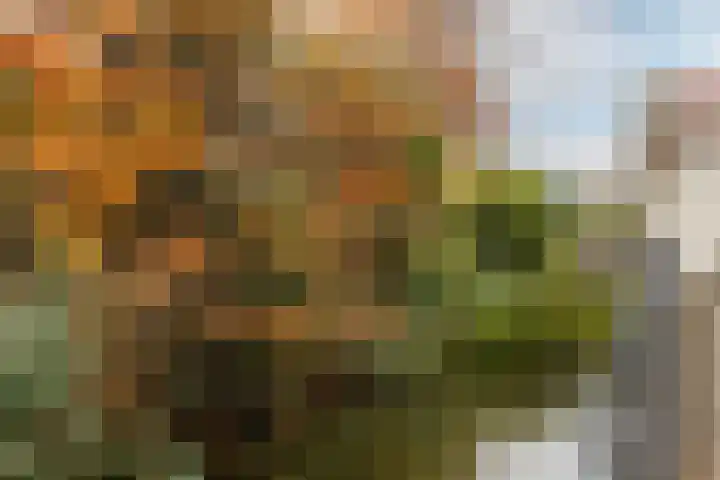 Kwikstaarthof 5 Moordrecht thumbnail 38