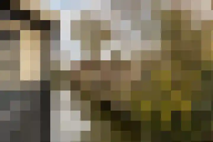 Kwikstaarthof 5 Moordrecht thumbnail 41
