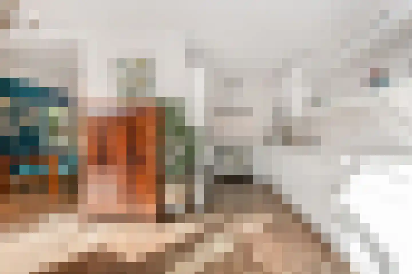Kwikstaartlaan 13 Den Haag thumbnail 14