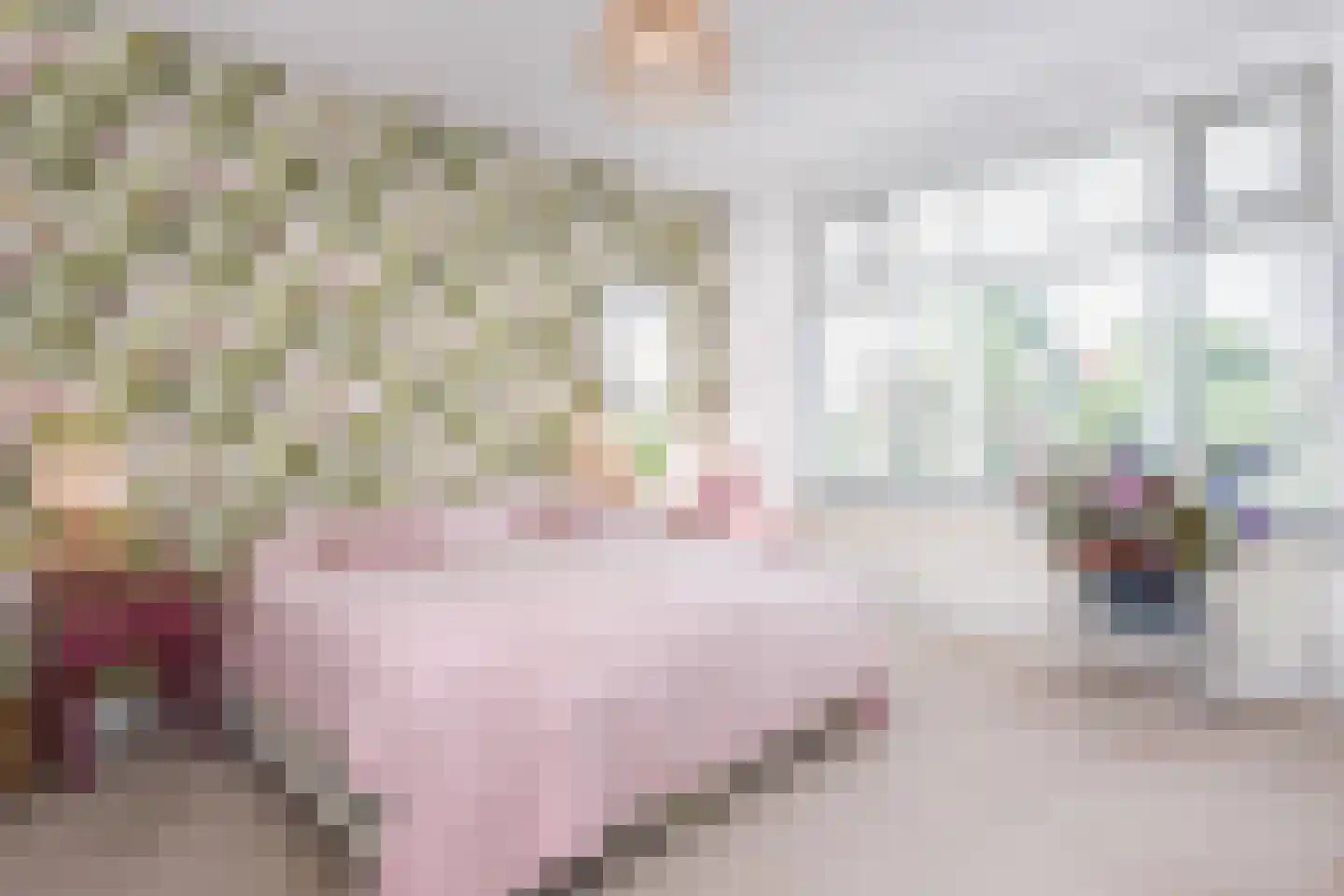 Kwikstaartlaan 13 Den Haag thumbnail 16