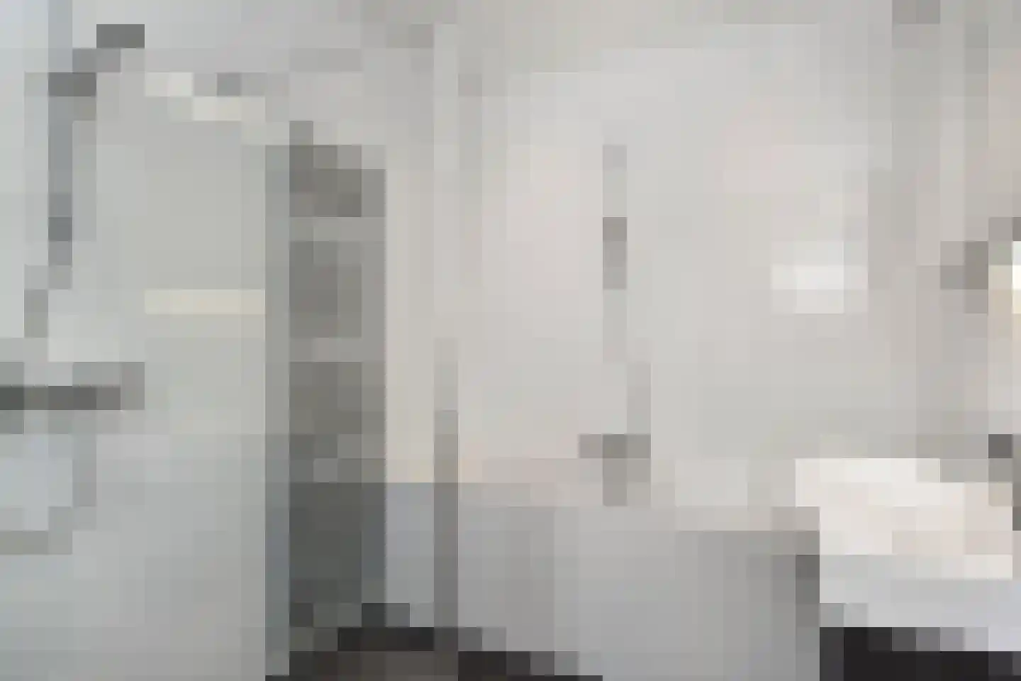 Kwikstaartlaan 13 Den Haag thumbnail 18